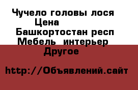 Чучело головы лося › Цена ­ 35 000 - Башкортостан респ. Мебель, интерьер » Другое   